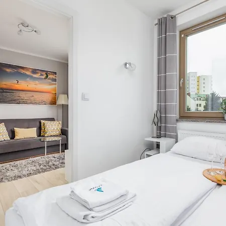 Wind Rose Quarter By Renters