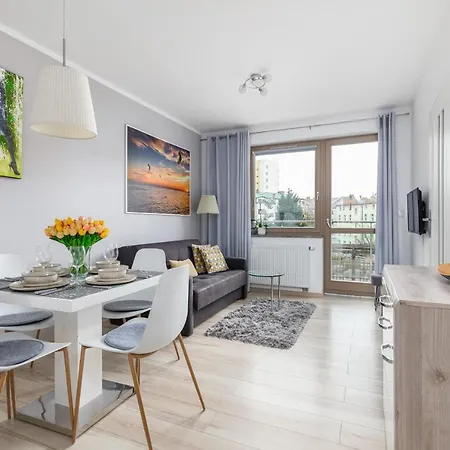 Wind Rose Quarter By Renters *