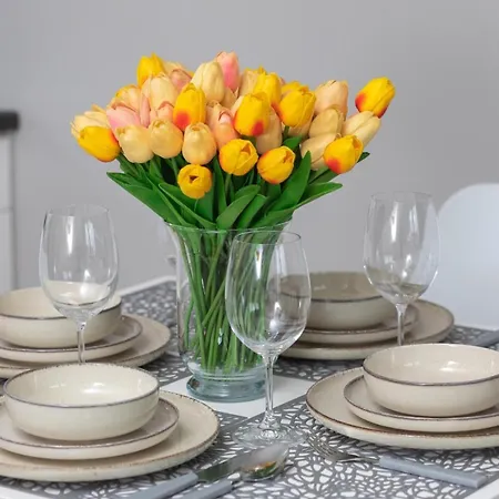 Wind Rose Quarter By Renters Apartmán