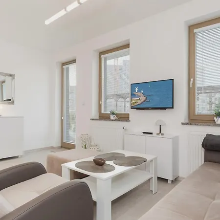 Wind Rose Quarter By Renters