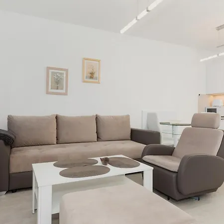 Wind Rose Quarter By Renters