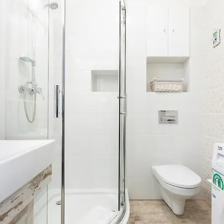 Wind Rose Quarter By Renters *